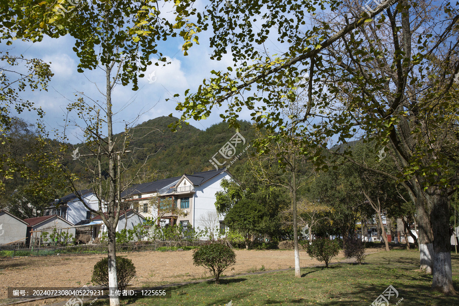 金秋八都岕田園風(fēng)光