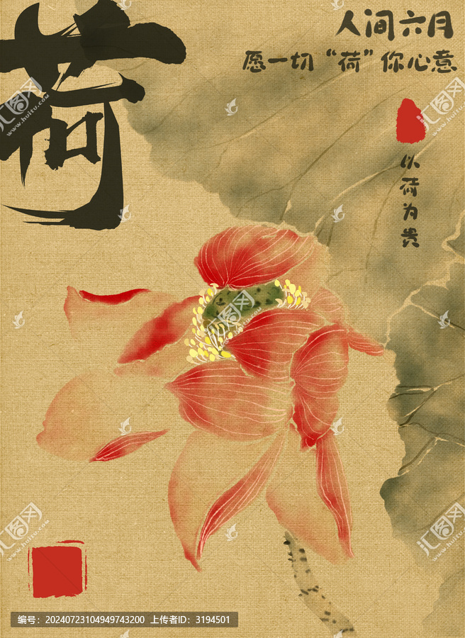 大暑處暑荷花包裝插畫深色版