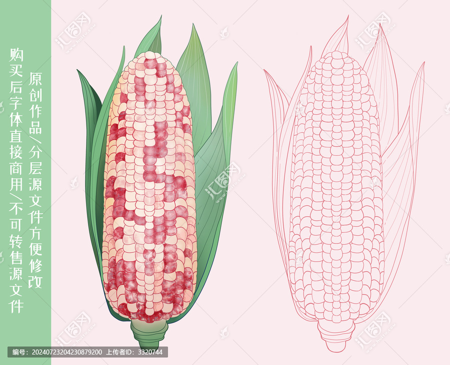 花玉米插畫