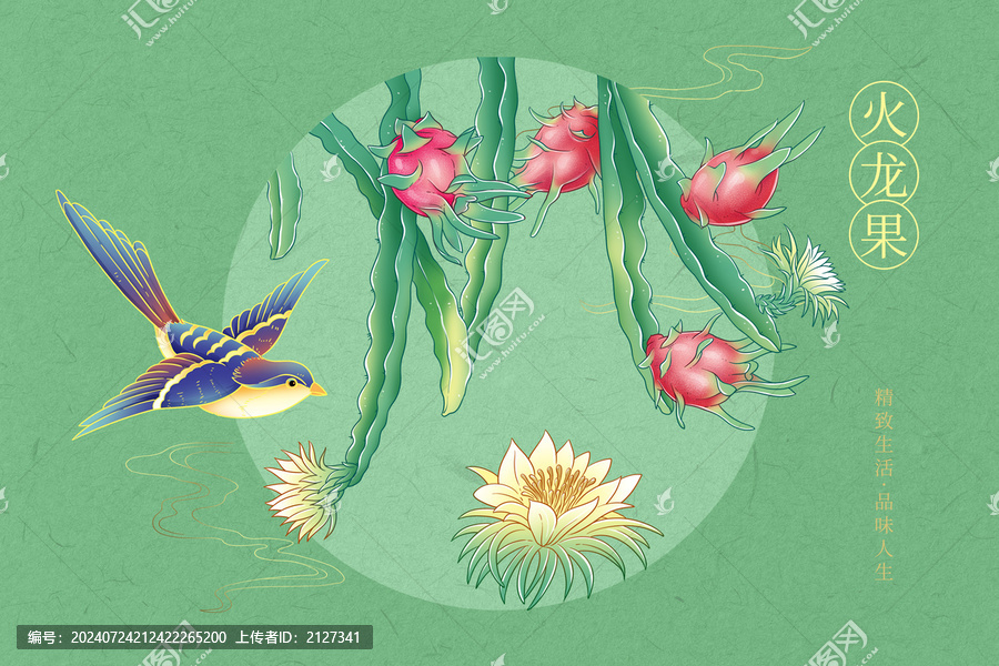 火龍果插畫