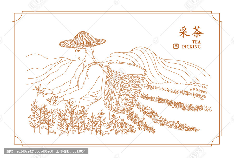 采茶