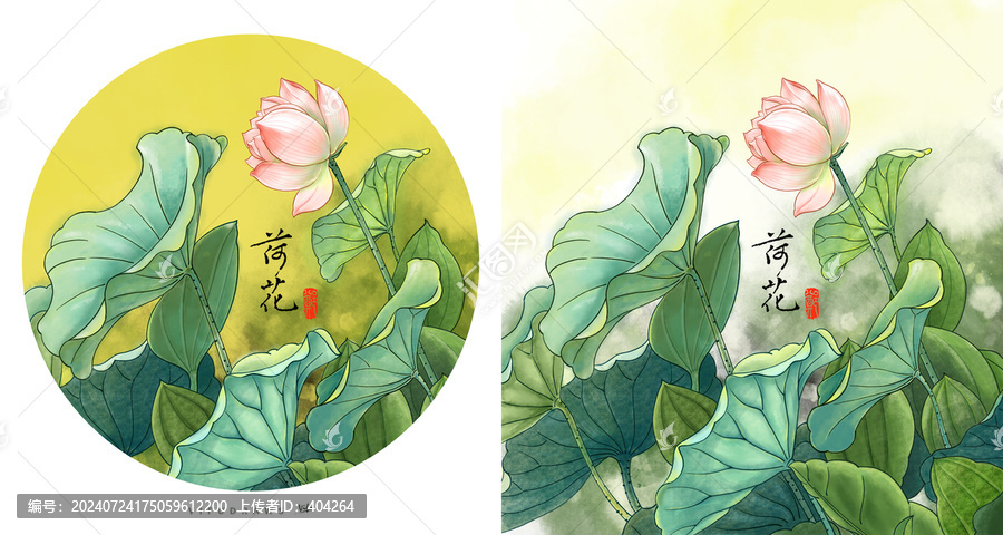 荷花