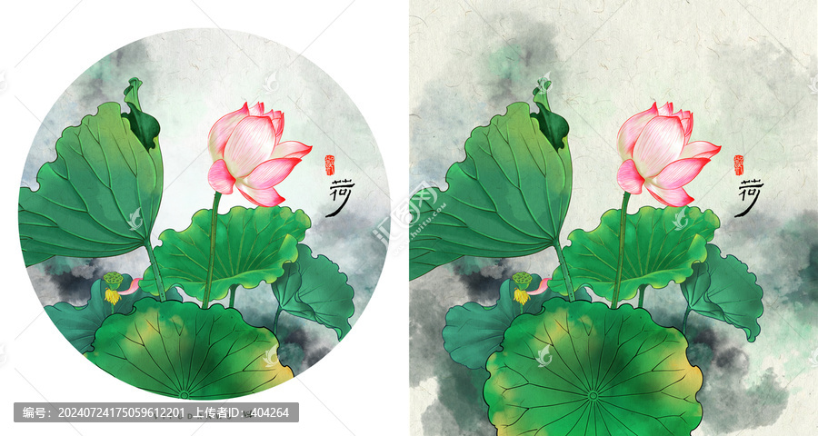 荷花