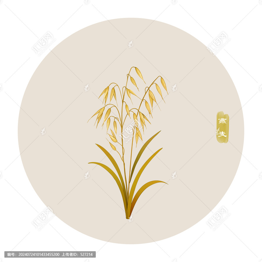 燕麥
