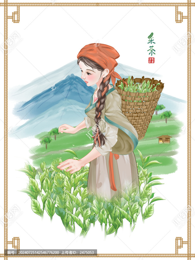 采摘茶葉