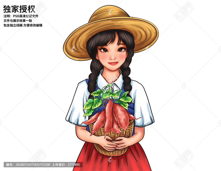 農家女地瓜紅薯插畫