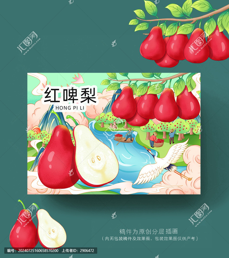 紅啤梨包裝插畫(huà)