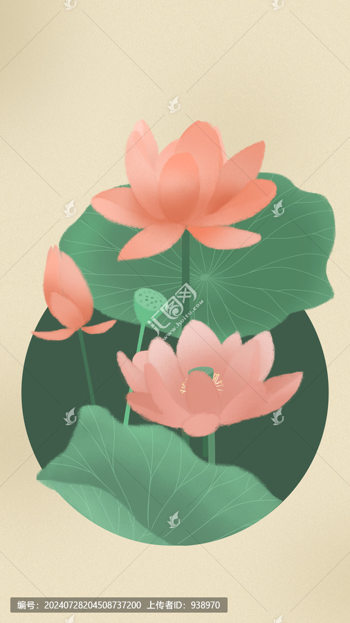 高清分層夏季荷花素材