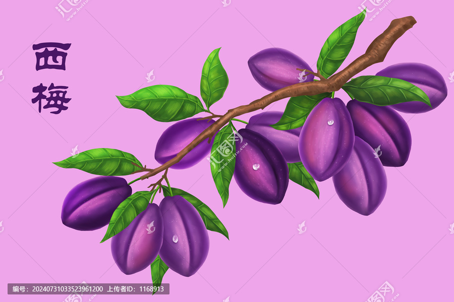 西梅插畫