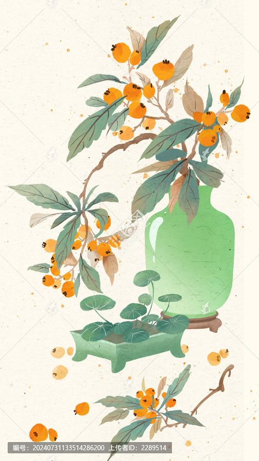 中國傳統(tǒng)節(jié)氣秋天節(jié)日枇杷插畫