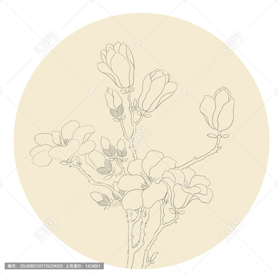 玉蘭花線稿
