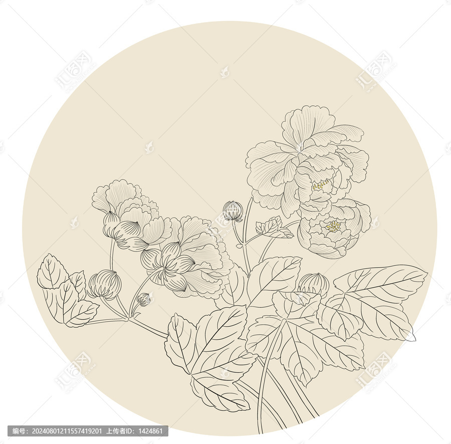 芙蓉花線稿