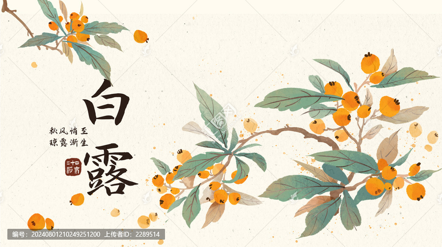 白露中國(guó)傳統(tǒng)節(jié)氣枇杷海報(bào)插畫