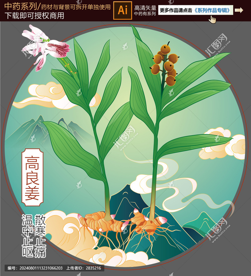 高良姜