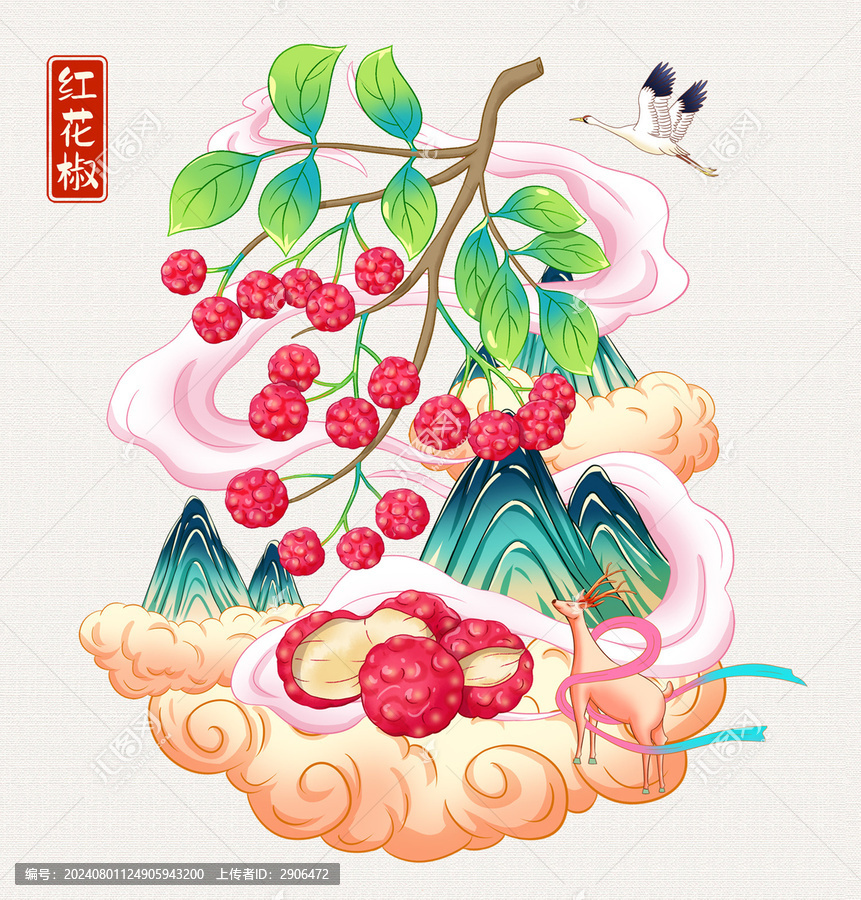 紅花椒插畫手繪