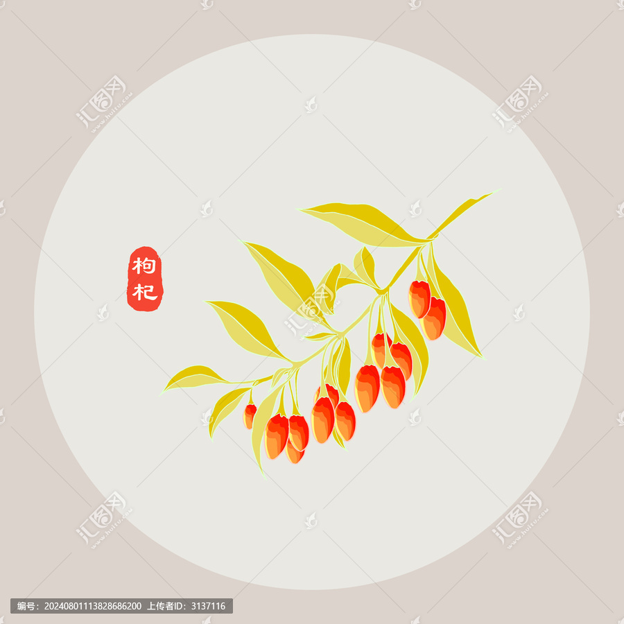 手繪枸杞