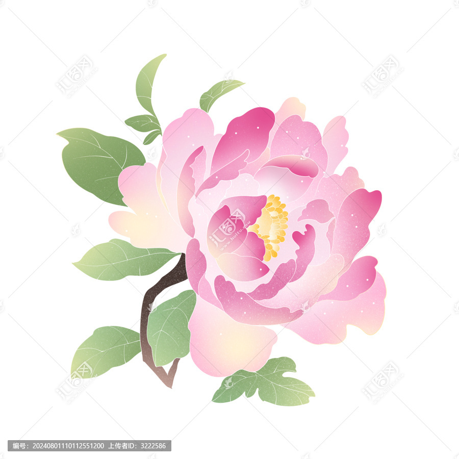 牡丹花元素