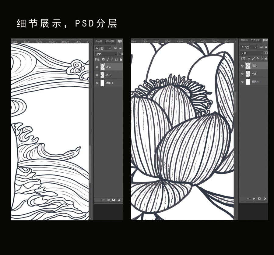 荷花線稿白描