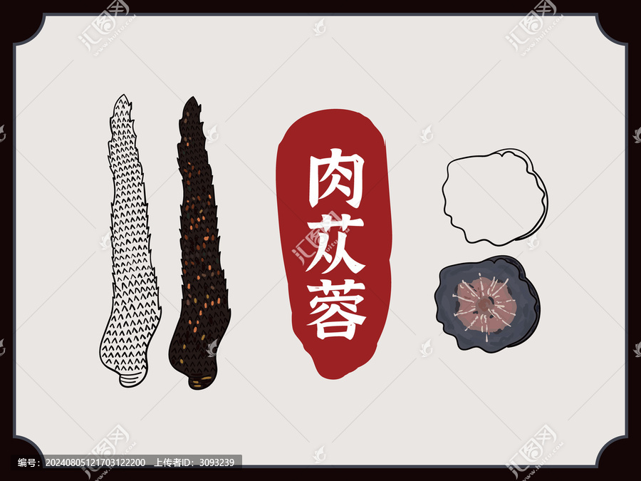 手繪肉蓯蓉