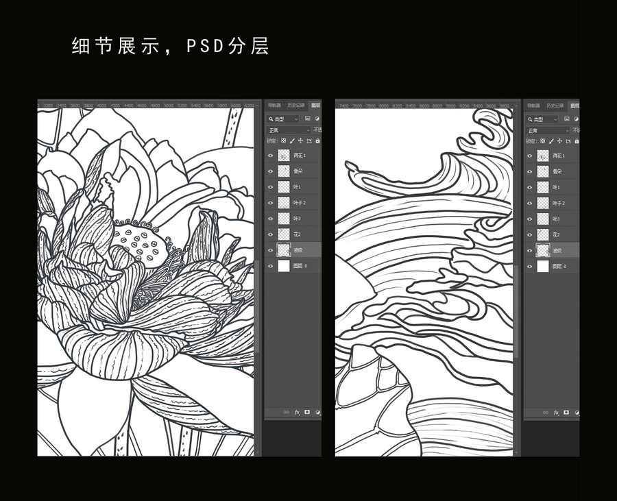 荷花白描稿