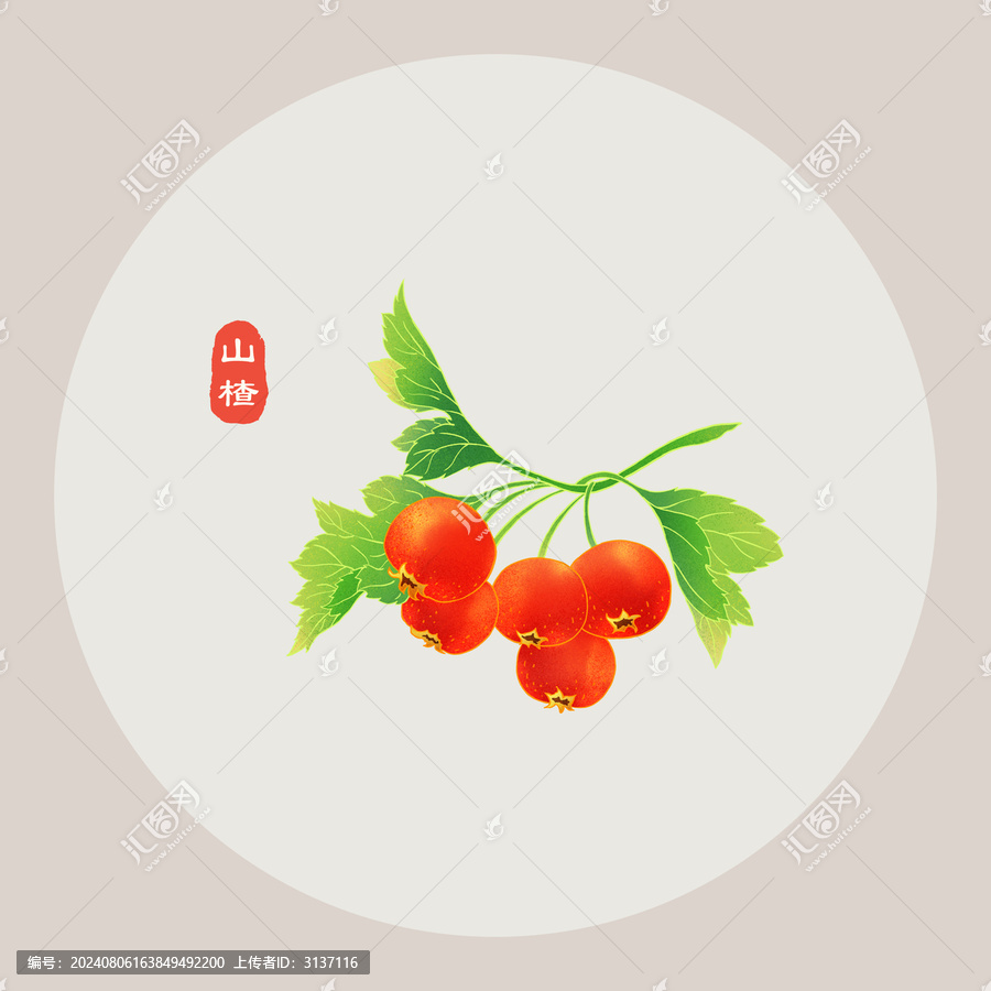 山楂