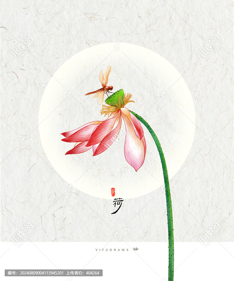 荷花插畫