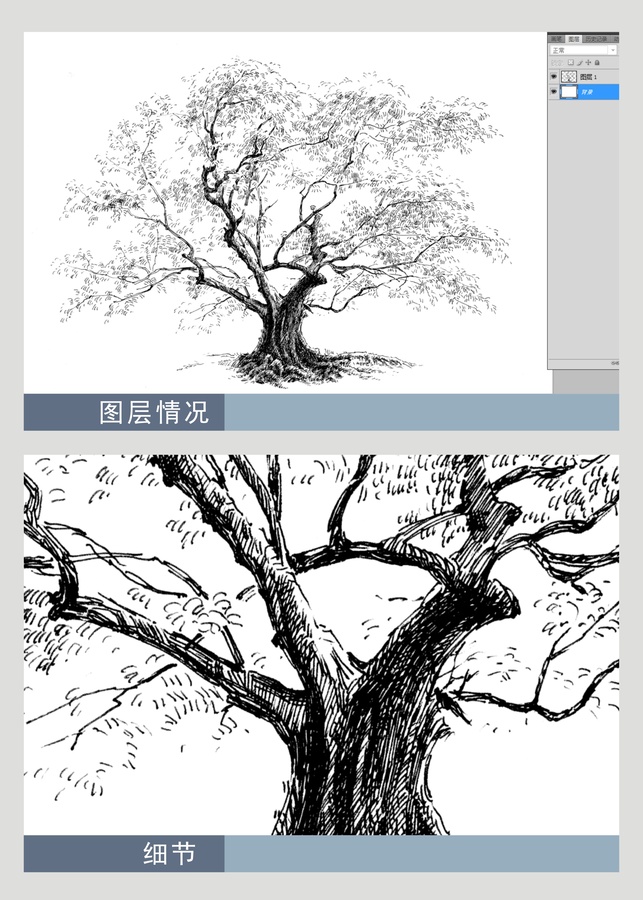 古樹(shù)榕樹(shù)