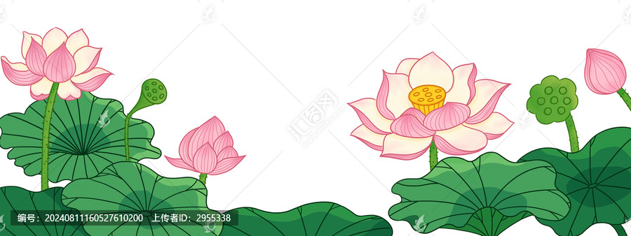 夏天荷花國風(fēng)插畫