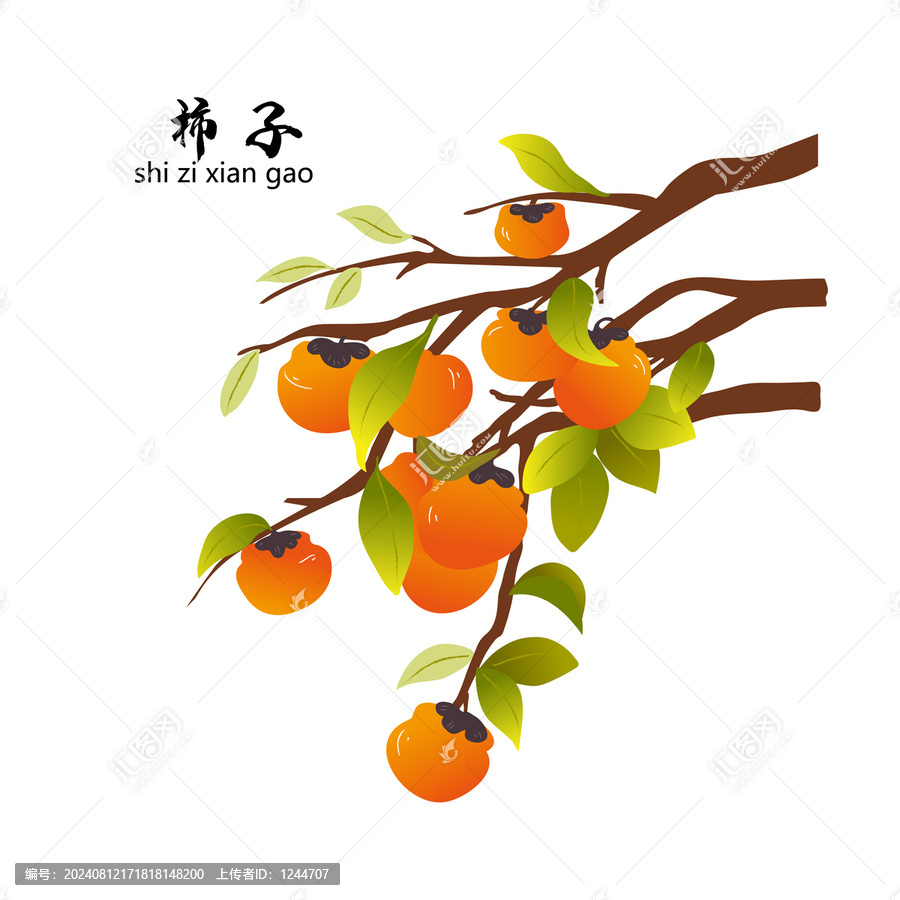 柿子