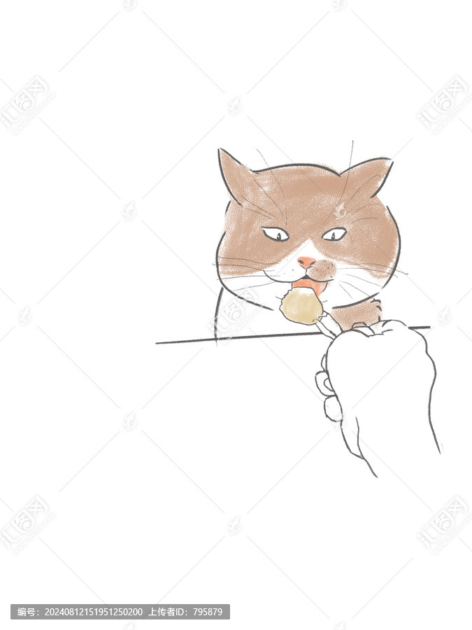 吃貨貓