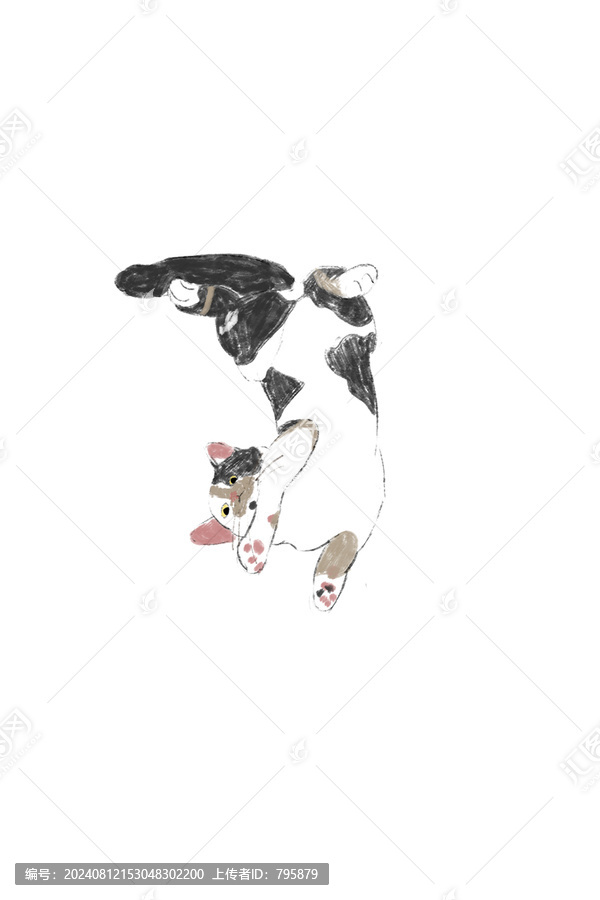 小貓伸懶腰