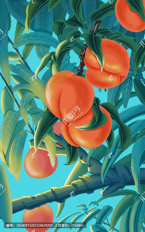 水蜜桃桃子水果插畫(huà)