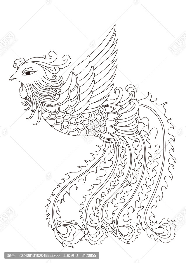 矢量鳳凰插畫線稿