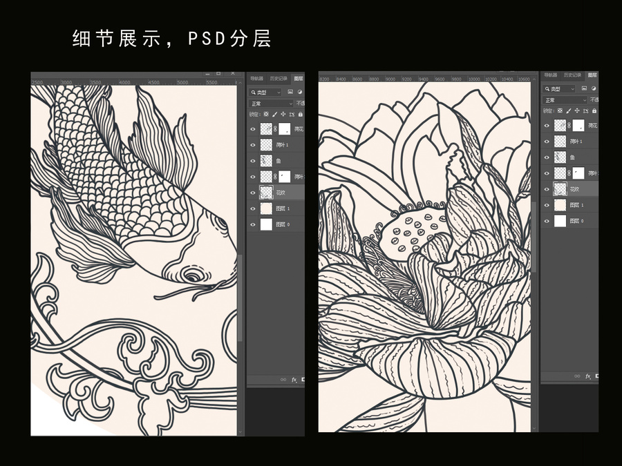錦鯉荷花白描