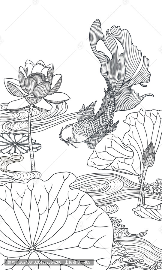 荷花錦鯉插畫白描