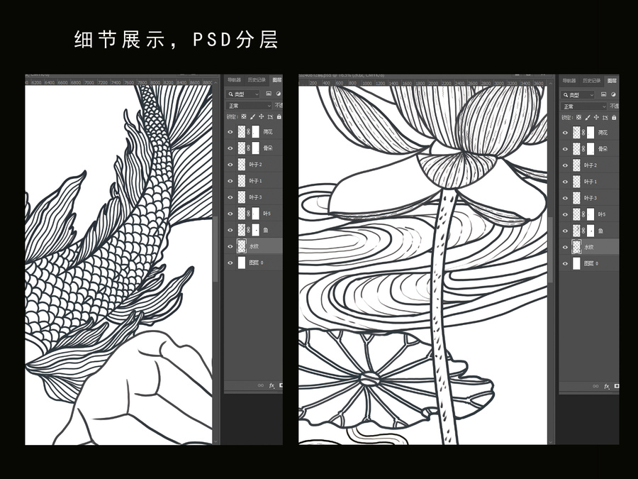 荷花錦鯉插畫白描