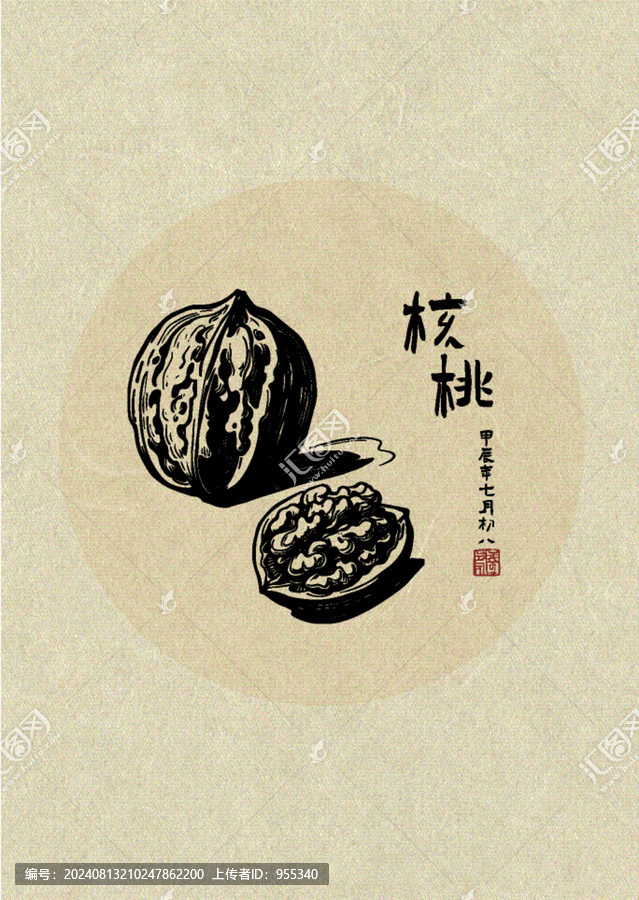 手繪核桃線稿