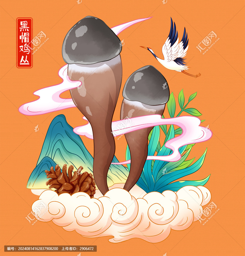 黑帽雞叢菌插畫(huà)