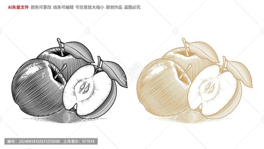 蘋果線稿