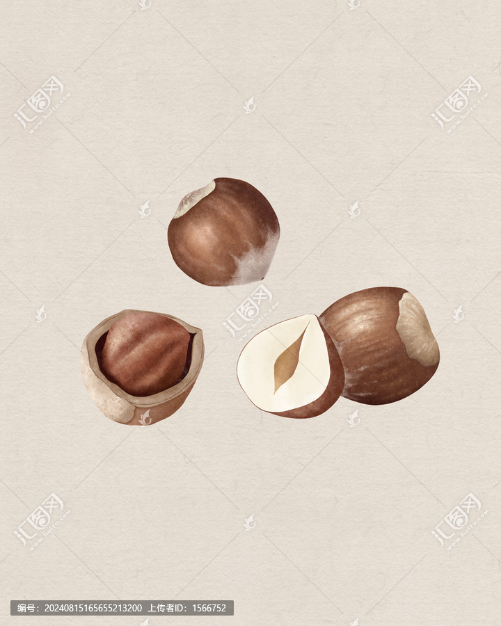 榛子