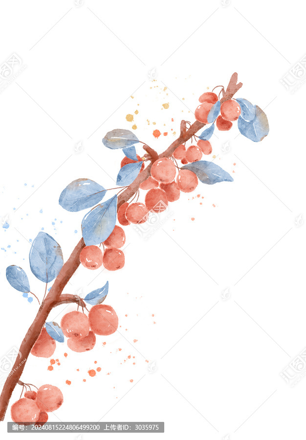 海棠果