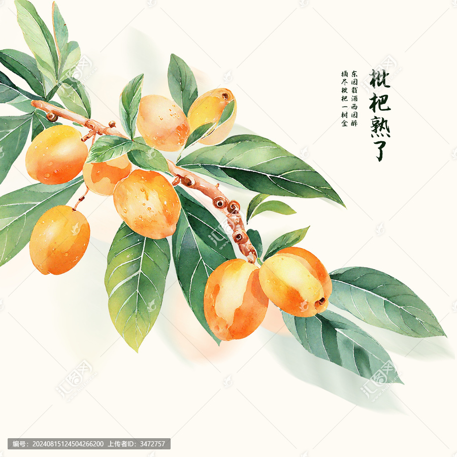 枇杷熟了