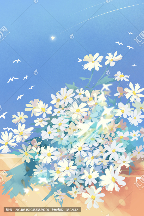 小雛菊插畫