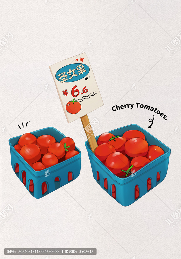 圣女果小番茄插畫