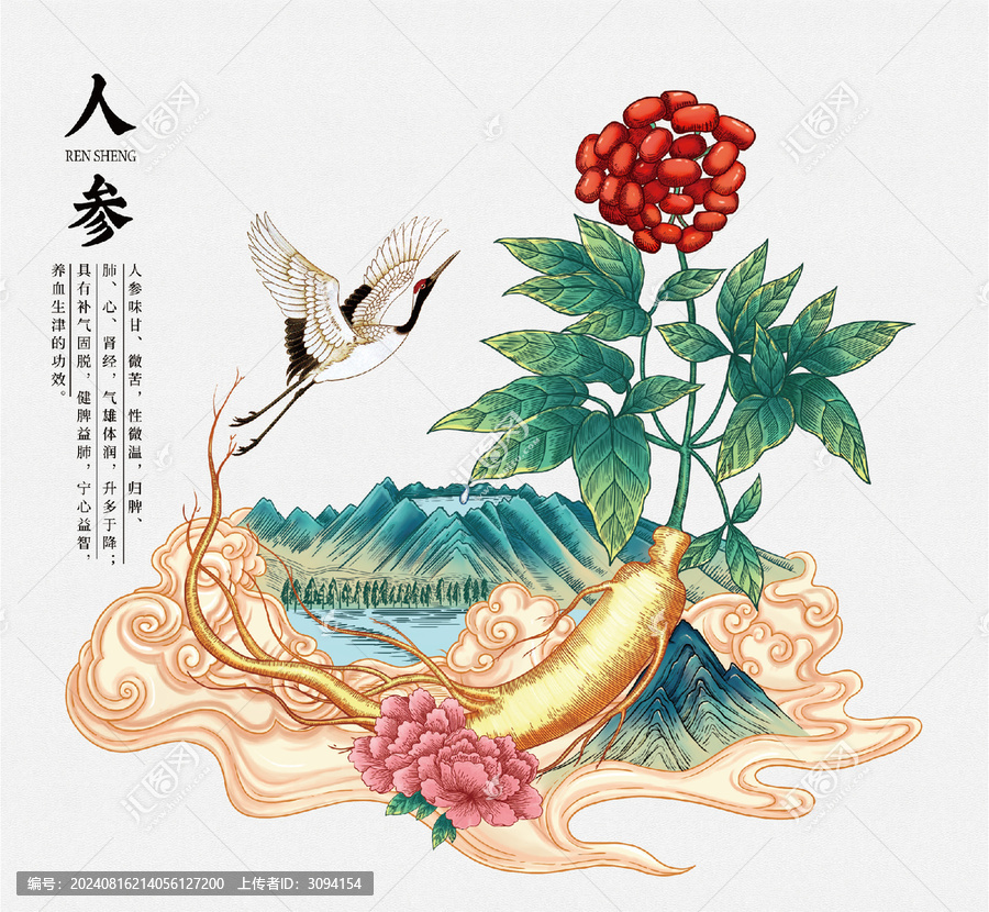 人參