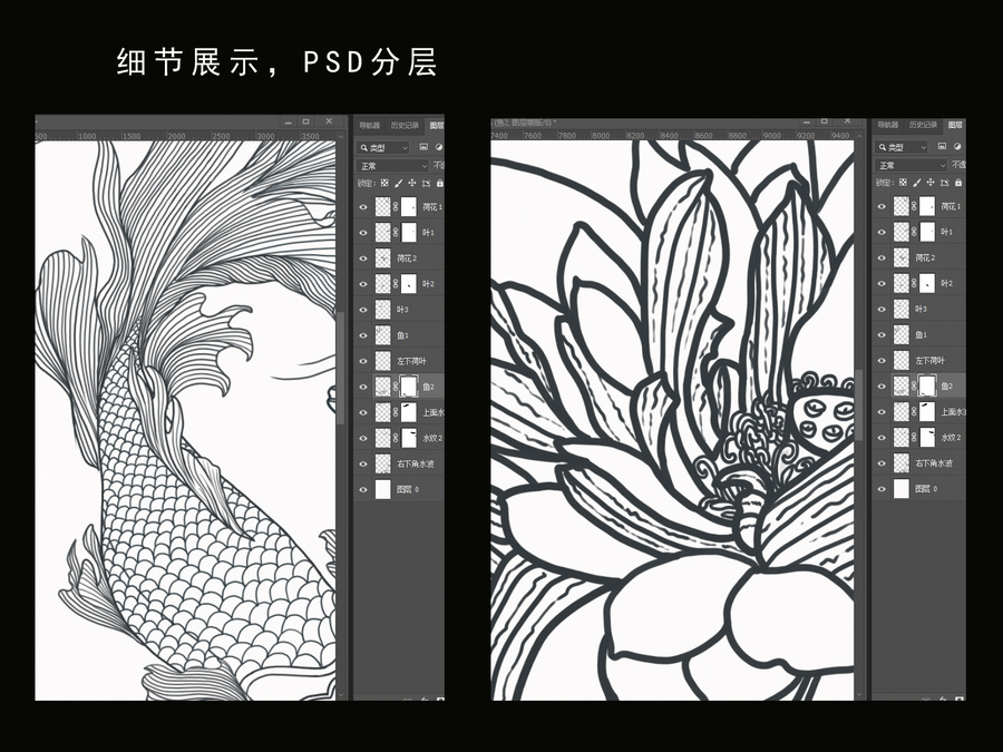 錦鯉荷花白描