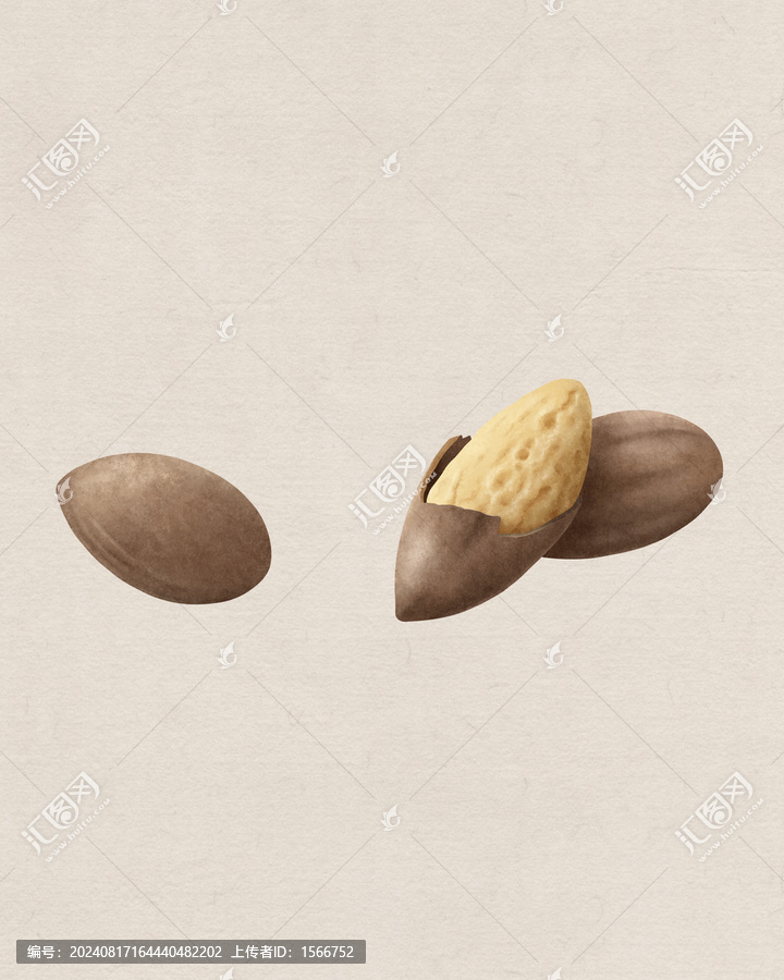 香榧