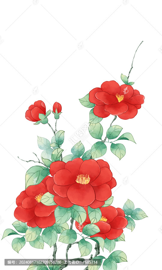 山茶花