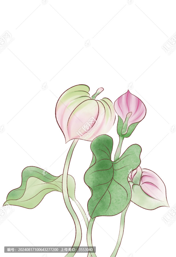 粉紅色花朵