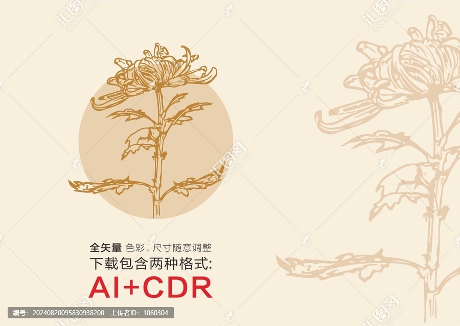 菊花秋菊